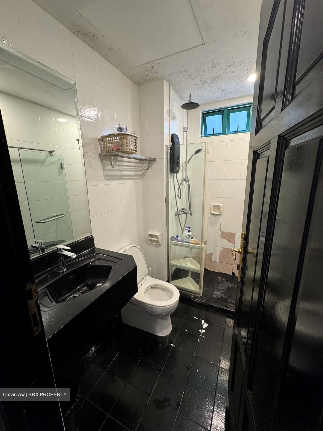 Fortune Park (D19), Condominium #550868691